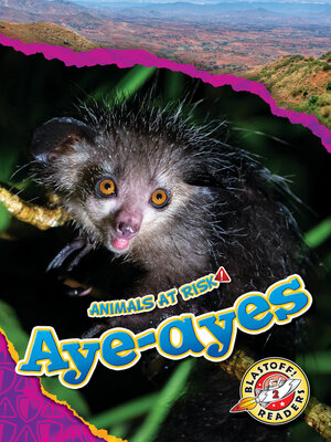cover image of Aye-ayes